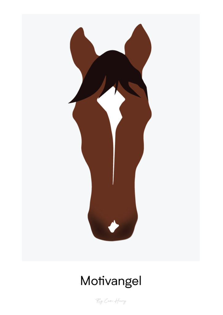 portrait illustration personnalisé cheval