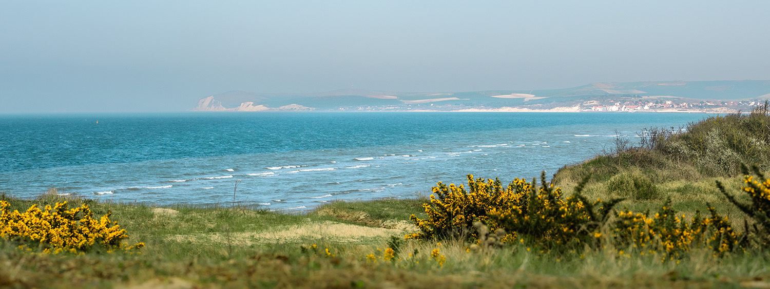 La plage de Wissant Photographiée depuis Tardinghen par Cam Harry Photographe. On y voit la mer, bleue, le cap Gris Nez ainsi que la végétation des dunes