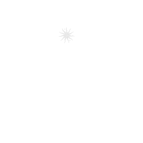Cam Harry, photographe professionnelle à Lille, dans les Hauts-de-France et en Belgique frontalière