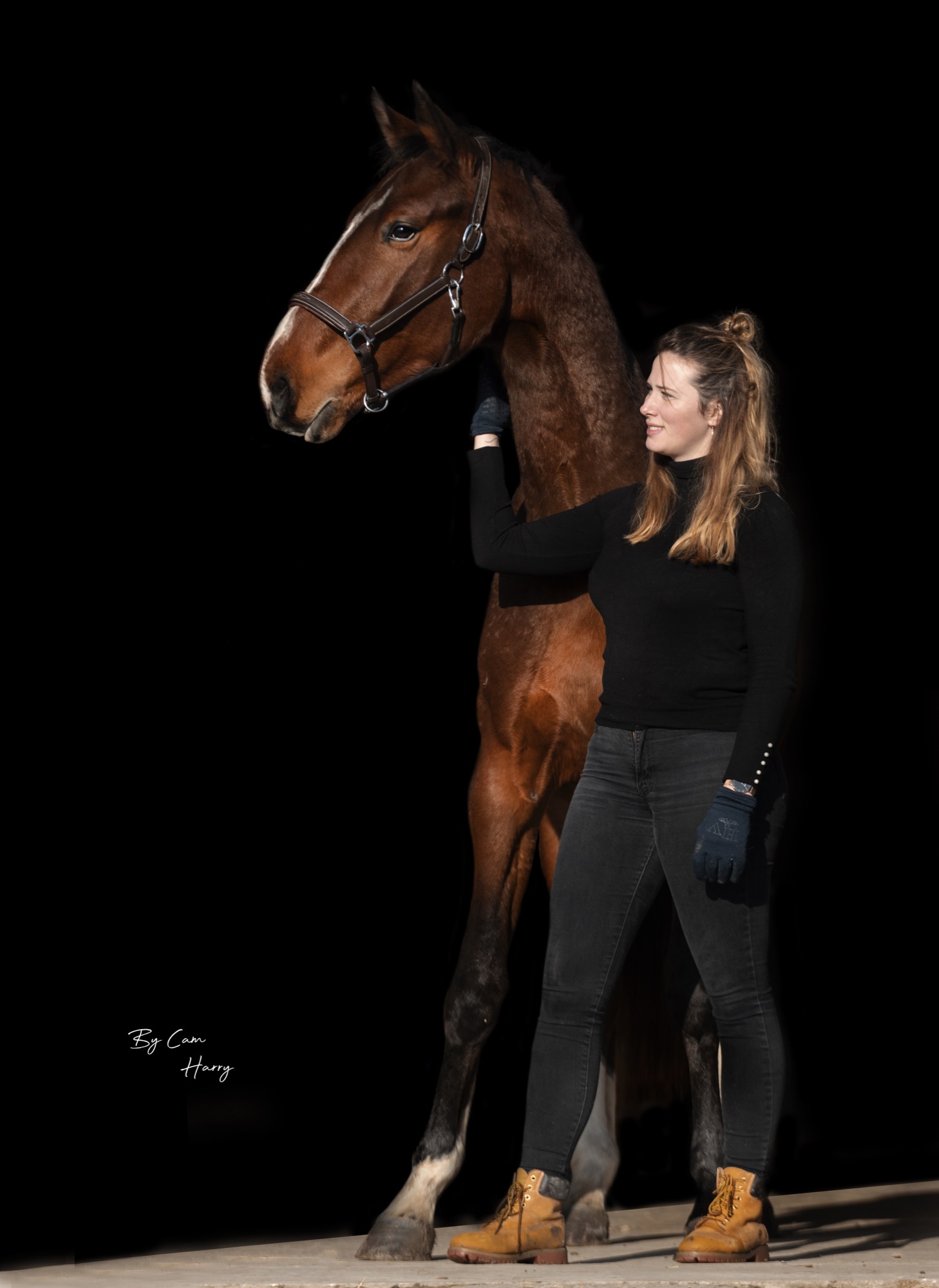Portrait équin en studio — cavalière et son cheval sur fond noir