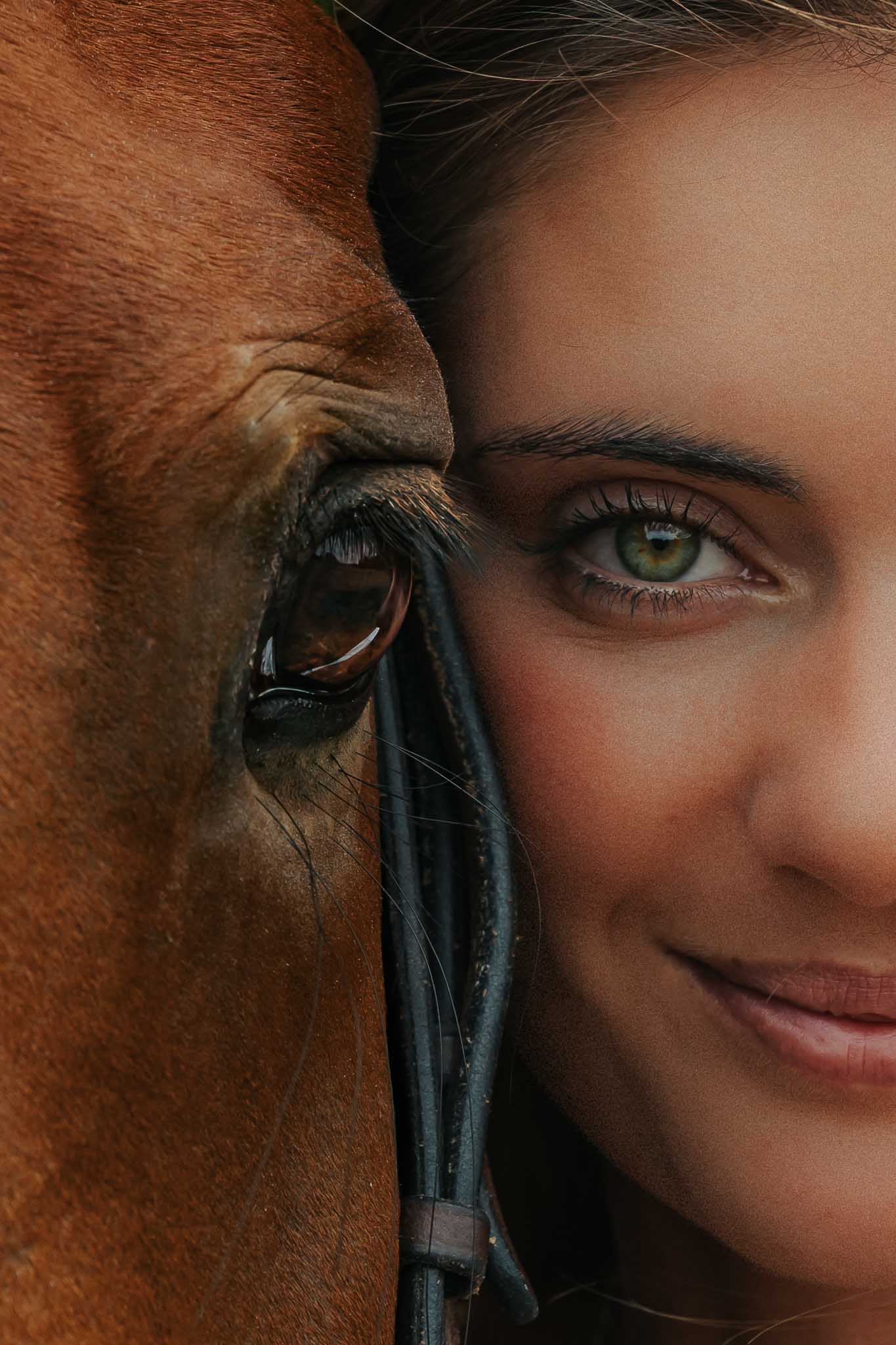 Jument et sa propriétaire photographiées à Verlinghem