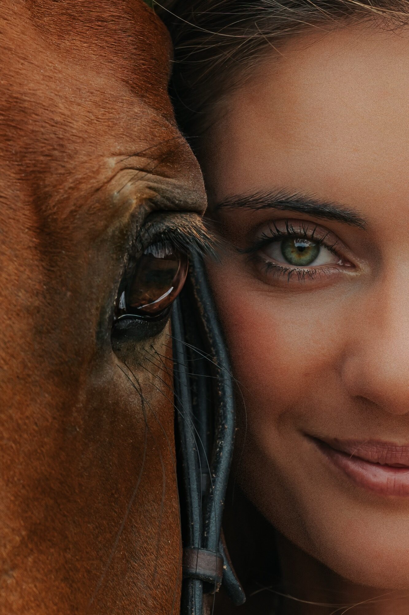 Cavalière joue contre l’œil de son cheval — portrait équin, photographe équestre Wimereux