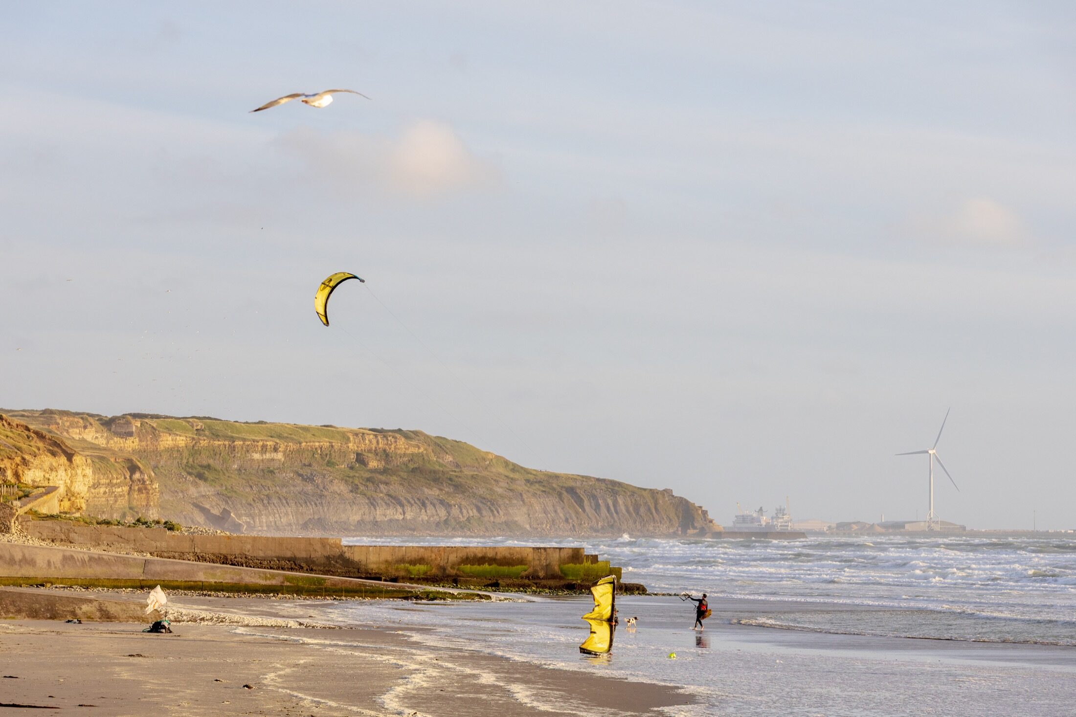 Ailes de kitesurf au-dessus de la plage, falaises en arrière-plan — Côte d’Opale