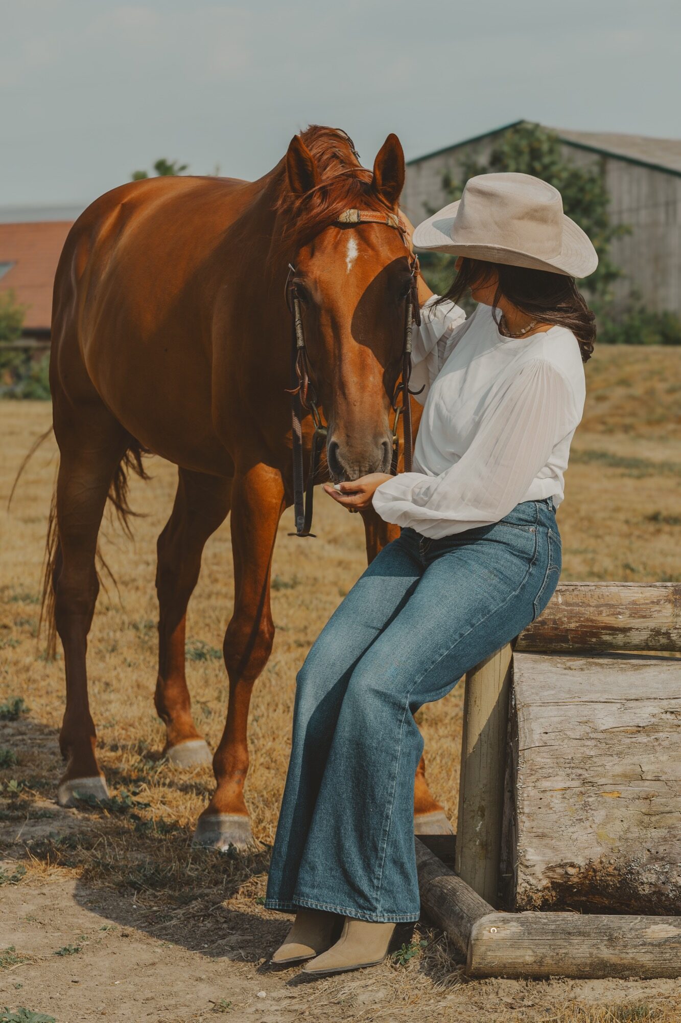 Louise Virgata assise près de son cheval alezan — portrait équin