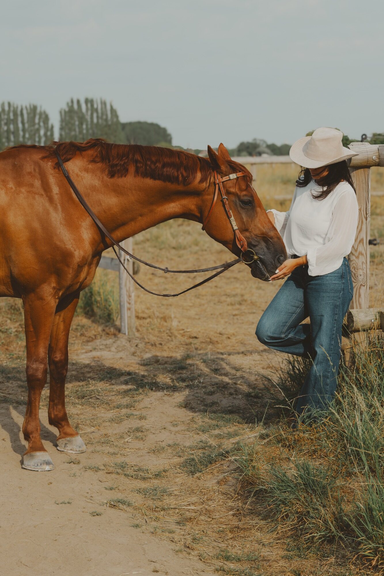 Louise Virgata face à son cheval dans les herbes hautes — photographe équestre